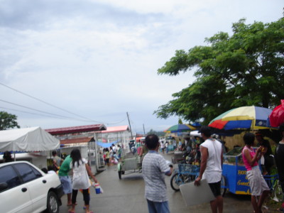 tdsm6.jpg